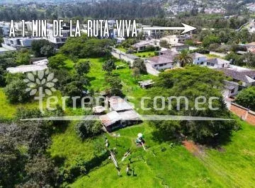 Terreno en Venta 14.350 m² a 1 Min Ruta Viva - Tumbaco — imagen 2