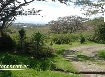 Terreno de Venta en Tumbaco 1.669 m² Urbanización El Edén, Collaqui — imagen 2