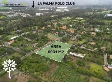 Terreno de Venta, Puembo La Palma Polo Club, 6031 m² — imagen 4