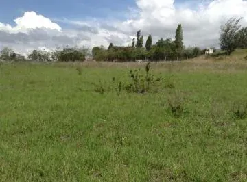 Vendo Terreno Plano 32.736 m² Urbanizado $30 Xm², Urbano, Urcuquí, Imbabura, Vía, Imbabura — imagen 5