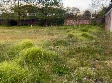 Sangolquí Sector Bodegas del Supermaxi Vendo Terreno a La Vía — imagen 2