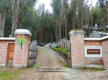 Venta de Terreno en Cayambe 2.500 m², Lotización Entre Bosques, Lote No.7. Provincia de Pichincha — imagen 5