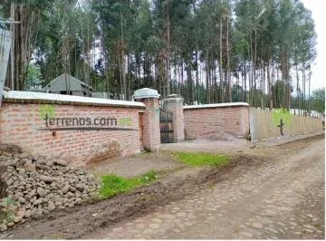 Venta de Terreno en Cayambe 2.500 m², Lotización Entre Bosques, Lote No.7. Provincia de Pichincha — imagen 3