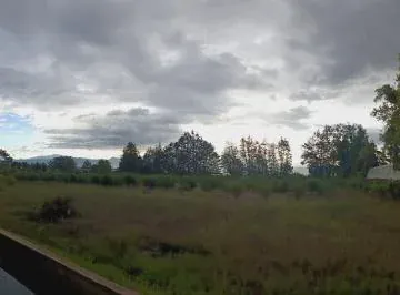 Vendo Terreno de 5500 m en Checa - Sector Selva Alegre — imagen 4