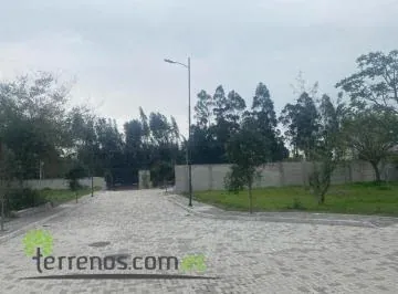 Terreno de Venta 425 m² en Puembo Sector Colegio Highlands — imagen 5