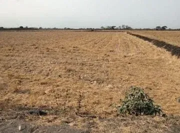 Terreno en Venta, Via Salitre, Guayas, Ecuador - C. Garcia, Guayas — imagen 4
