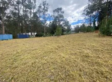 Vendo Terreno 19.984 m² Pifo, Alcantarillado, $50 C/m², A1 Km Vía, Vista — imagen 2