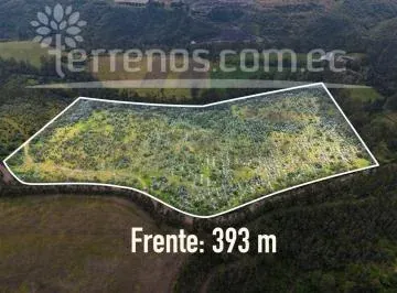 Terreno en Venta 7 Has Cerca a La E 35 — imagen 4