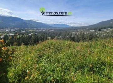 Vendo Terreno Cumbaya 981 m² Ideal Para Proyecto Inmobiliario Urbanización — imagen 5