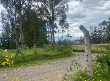 Terreno de Venta en Checa, San Agustin — imagen 4