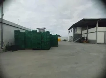 Empacadora en Venta en Santa Elena — imagen 4