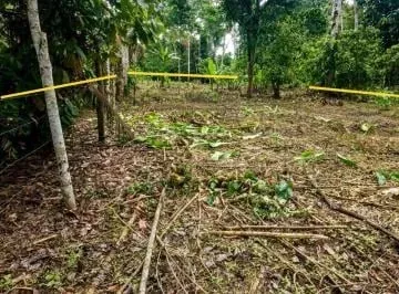 Terreno en Venta - Sector Vía a La Parroquia Pano - Tena, Napo — imagen 3