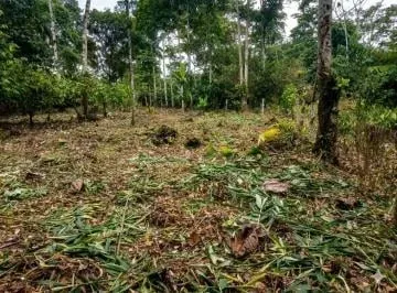 Terreno en Venta - Sector Vía a La Parroquia Pano - Tena, Napo — imagen 2