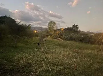 Vendo Hermosa Propiedad en El Valle de Yunguilla La Union, Azuay — imagen 4