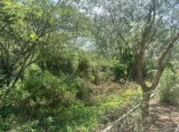 Terreno de 1011 m² en Venta en Urbanización Privada en Tumbaco — imagen 4