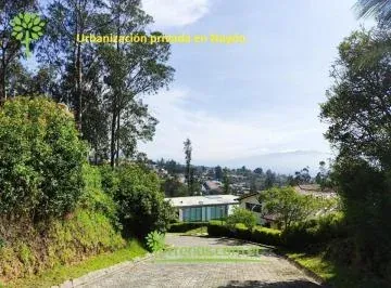 Venta de Terreno 1.106 m² Dentro de Urbanización Privada en Nayón. Provincia de Pichincha — imagen 5