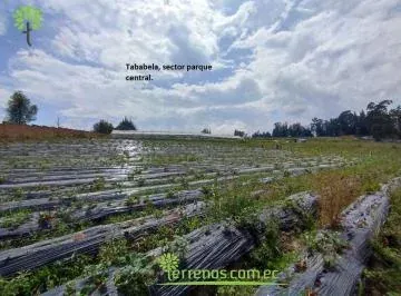 Venta E Terreno 6.578 m², Tababela, Cerca Al Parque Central. Provincia de Pichincha — imagen 4