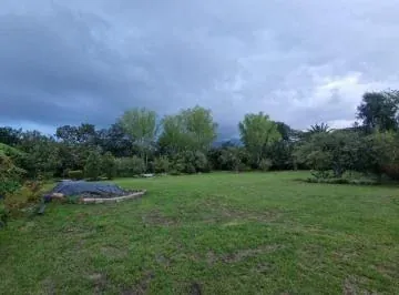 Tumbaco Vendo Espectaluar Terreno Ideal Para Proyecto Familiar — imagen 3