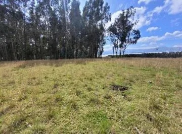Propiedad en Venta en Tabacundo, Sector Tupigachi — imagen 3