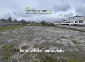 Terreno en Venta 6952.6 m² Calle El Progreso Calderón — imagen 4