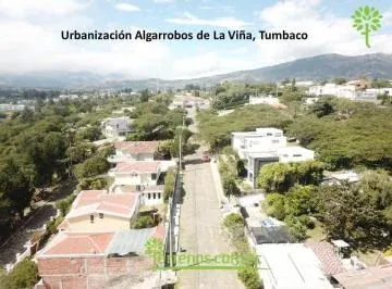 Algarrobos de La Viña — imagen 2