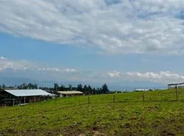 Terreno de Venta en Tababela de 15.520 m², Sector Oyambarillo — imagen 5