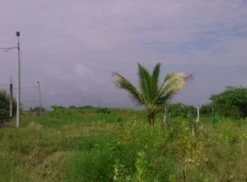Venta Terreno 100.000 m² o 10has, Alto Impacto en Via Duran Tambo, Guayas — imagen 4