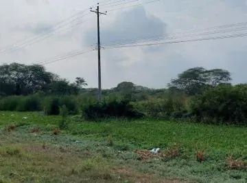 Venta Terreno 100.000 m² o 10has, Alto Impacto en Via Duran Tambo, Guayas — imagen 2