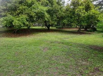 Vendo Terreno en Puembo, La Palma Polo Club, Sector Residencial — imagen 4
