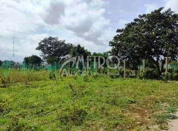 Terreno Productivo de 12.141 m² en Collaquí – Tumbaco — imagen 4