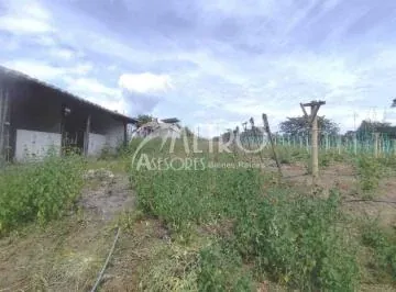 Terreno Productivo de 12.141 m² en Collaquí – Tumbaco — imagen 3