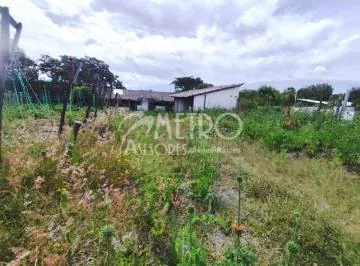 Terreno Productivo de 12.141 m² en Collaquí – Tumbaco — imagen 2