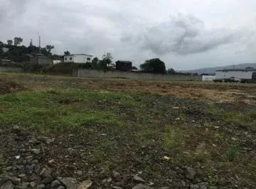 Terreno Industrial Via Daule 4.000 Mtr2, Guayas — imagen 3