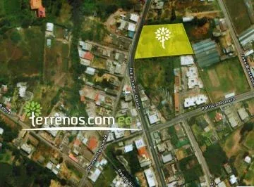 Julio Tobar Donoso y Humerto Duque — imagen 2