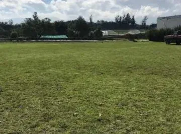Vendo Precioso Terreno en Puembo Urbanizado con Electricidad Agua y Al a Tarillado con Casa de Cuida — imagen 5