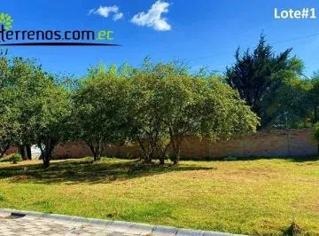 Terreno de Venta en Puembo 600 m² Urbanización O´cebreiro, Lote #1 — imagen 2