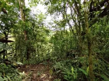 Venta Terreno Mindo — imagen 2