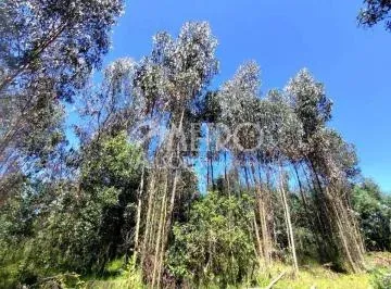 Terreno de 2.550 m² en Venta Dentro de La Urbanización Campo Alegre — imagen 3