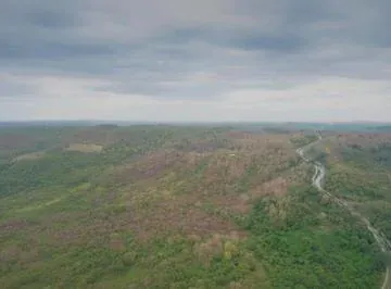 Vendo 60 Hectáreas en Via a La Costa, Limoncito, Se Puede Fraccionar Desde 1 Hectarea, Guayas — imagen 4