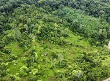 Terreno de 300 Ha en Venta en Centro de San Lorenzo — imagen 3