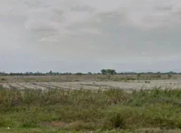 Venta Terreno de 72.966,56 m², Via a Samborondon, Sector Guachapeli, Antes del Peaje, Guayas — imagen 4
