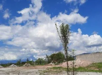 Vendo Terreno de 5959 m en Pifo — imagen 5