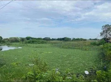 Venta Terreno 90.000 m² en La Via a Salitre, Km 10 Antes de Entrada a Los Lojas. Al Pie de La Vía, Guayas — imagen 3