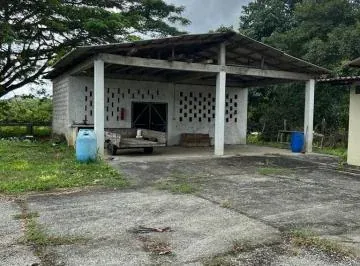 Venta Hcda. 93.20 Has Via Gquil - Salinas, Km 51,sector Cerecita (En Producción), Guayas — imagen 3