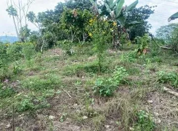 Puerto Quito, Vendo Terreno 4896 m², a 4 Min del Pueblo — imagen 5