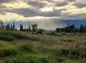 De Venta Finca de 5 Hectáreas en Urcuqui, Imbabura — imagen 5