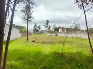 Venta Terreno Plano Sector Centro La Merced — imagen 5