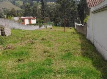 Venta Terreno Plano Sector Centro La Merced — imagen 3