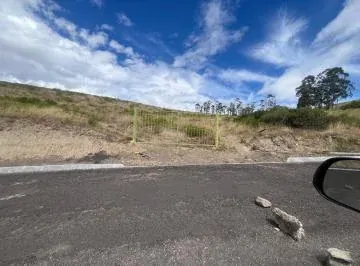 Venta Finca Agrícola - Industrial — imagen 4