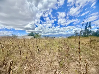 Se Vende Terreno en Llano Grande — imagen 5
